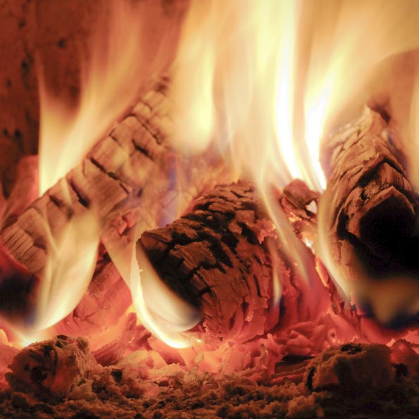 Log Fire